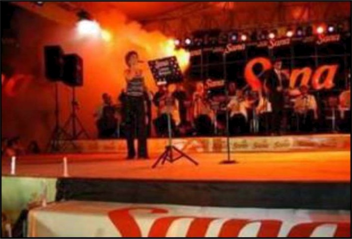 Konser & Roadshow